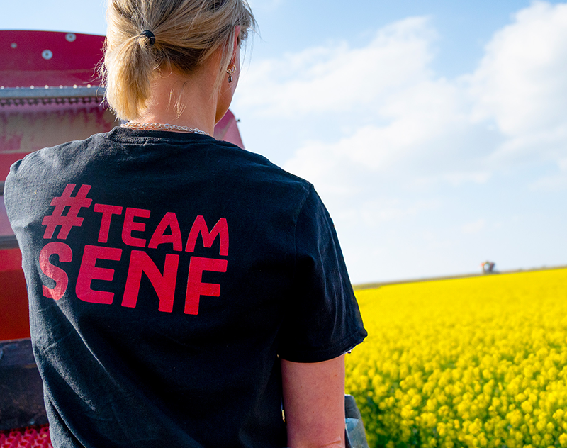 Info: Hier geht's zu unserer Team Senf Vorstellung!