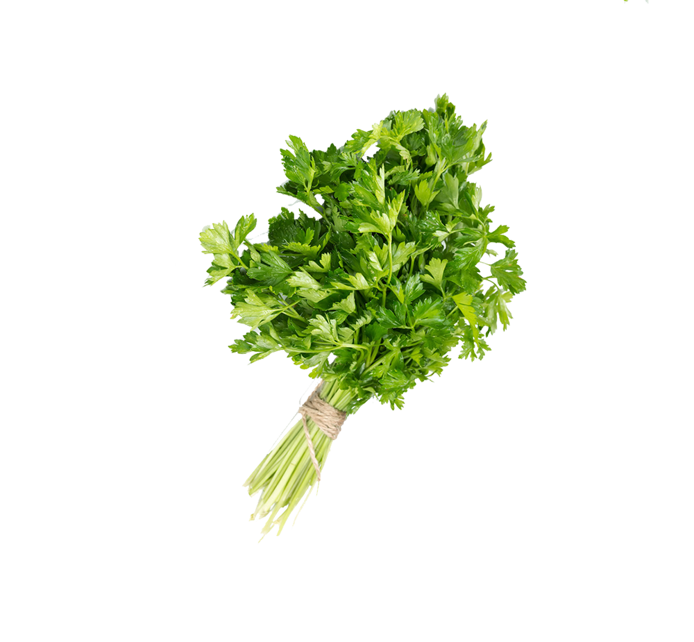 petersilie petersilie
