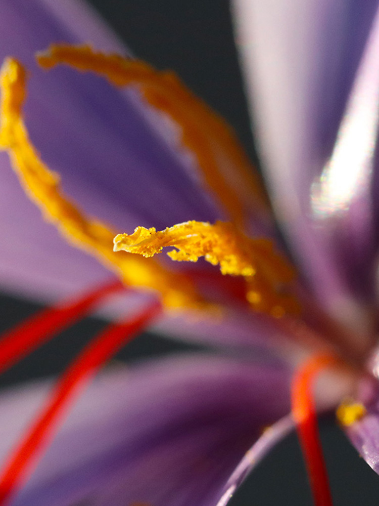ABGESAGT Kochevent "Safranleuchten"