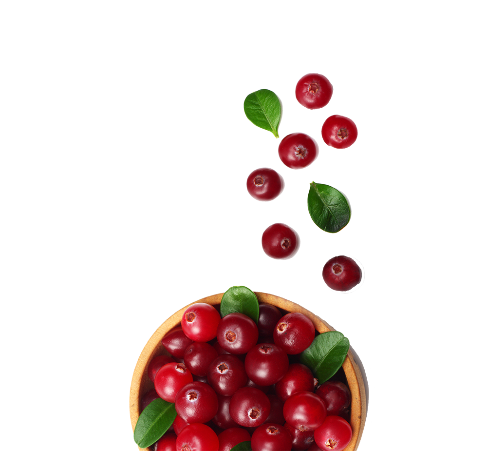 cranberrys cranberrys
