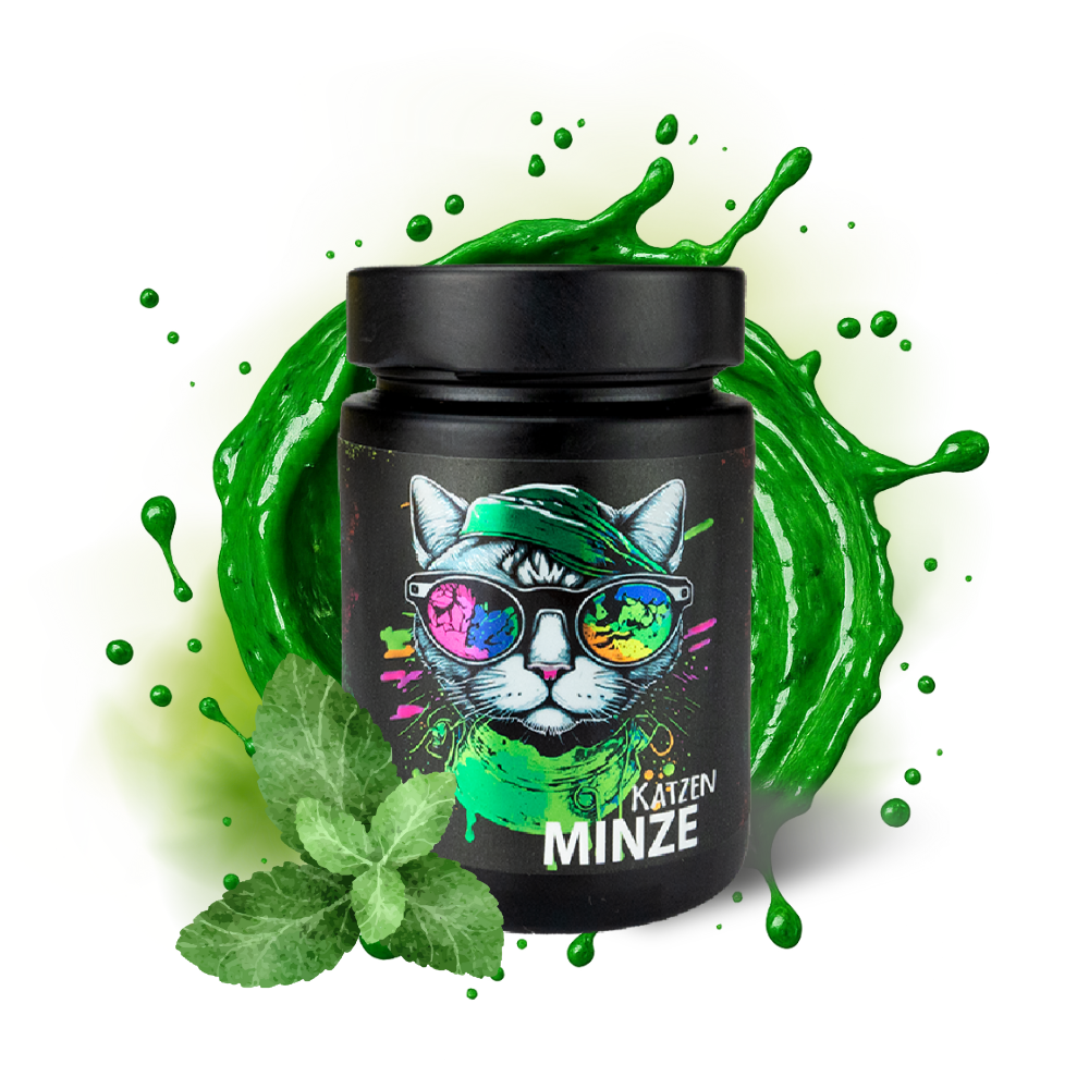 KATZENMINZE Pfefferminz Senf