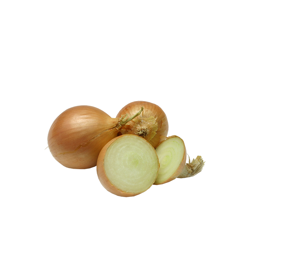 zwiebeln zwiebeln