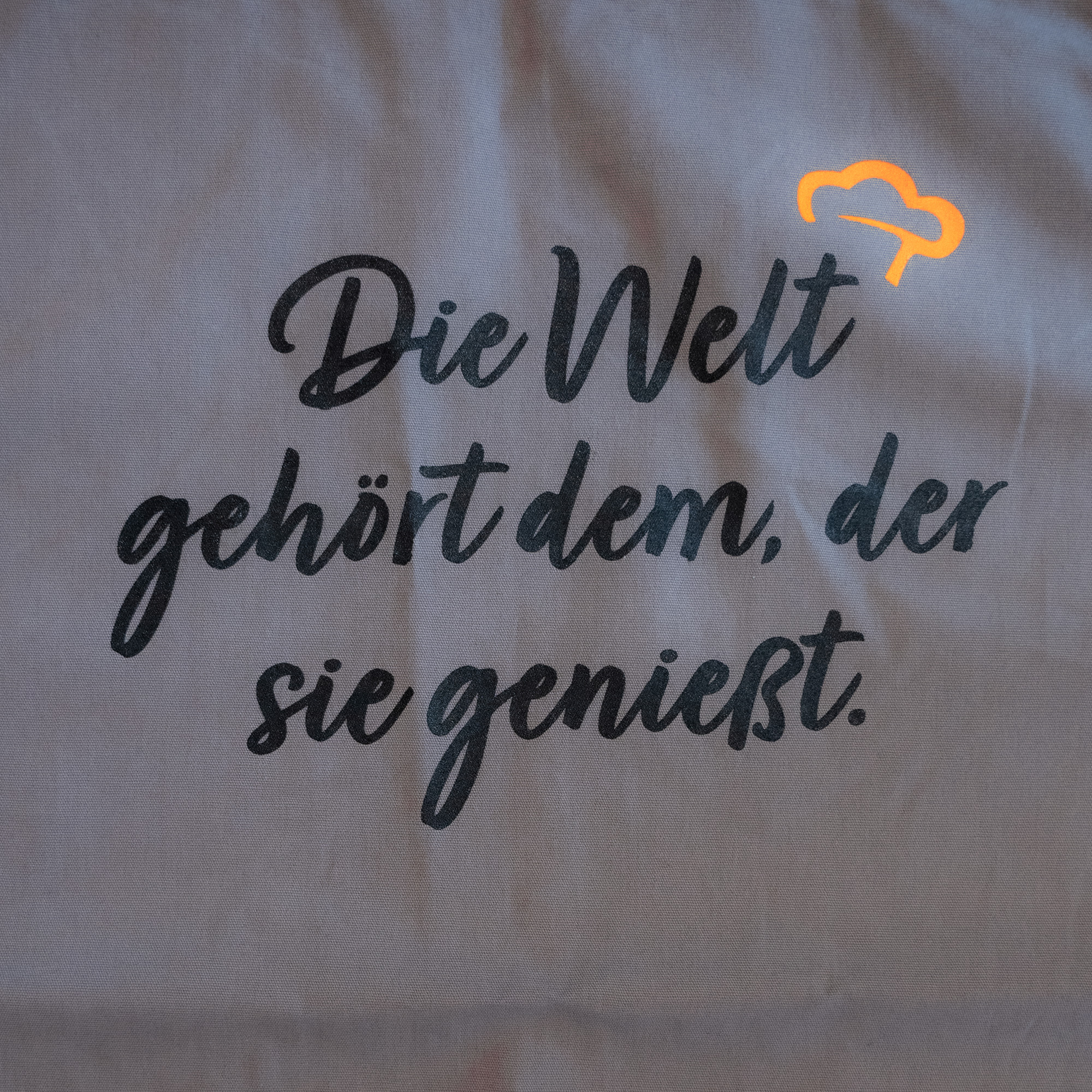 Kochschurze-Die-Welt_Web Spruch Detailansicht