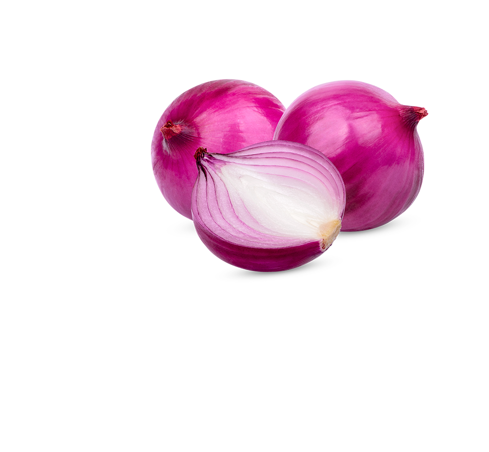 rote zwiebel rote zwiebel