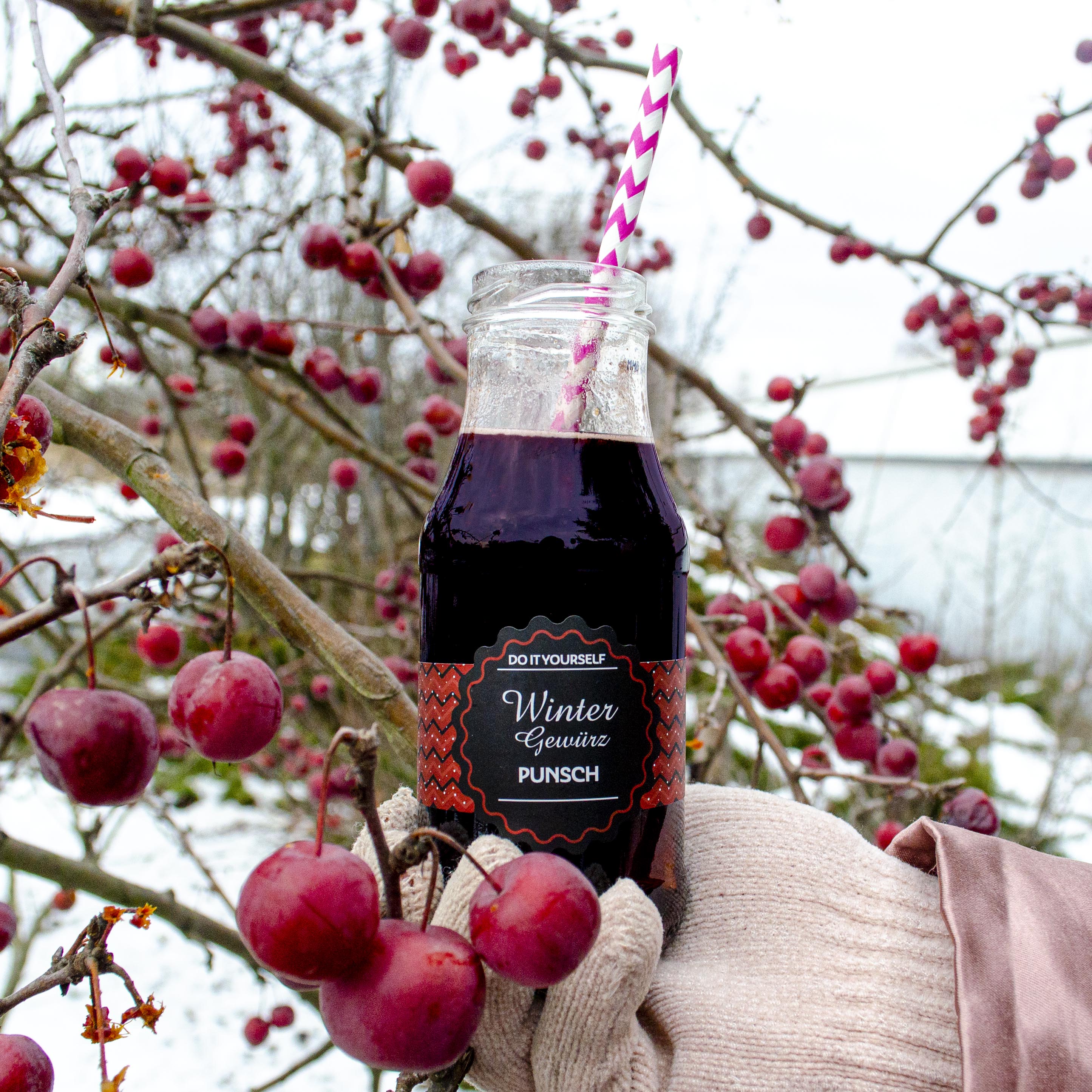 DIY Gewürzpunsch im Schnee