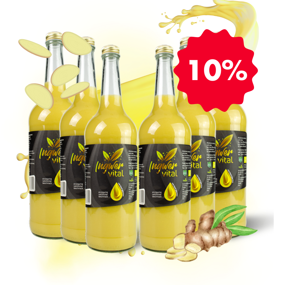 Ingwer Vital Shot Ingwer Vital Shot