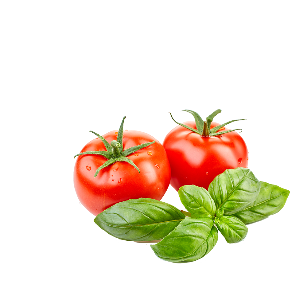 tomate mit basilikum tomate mit basilikum