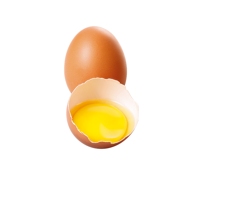 eier eier
