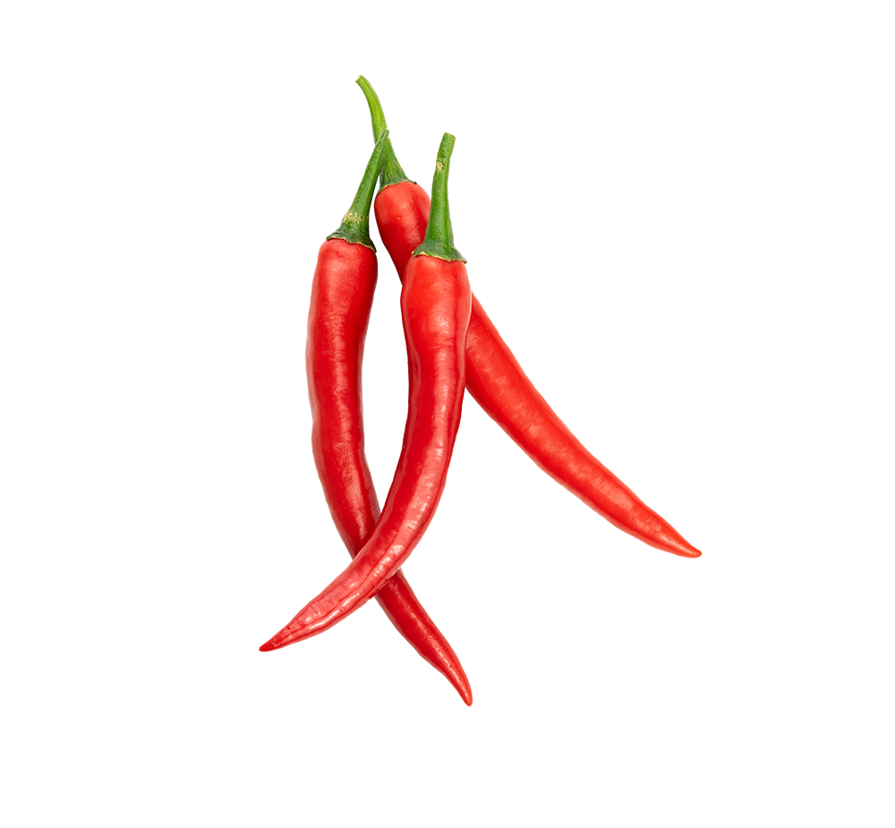 Chilischoten Chilischoten