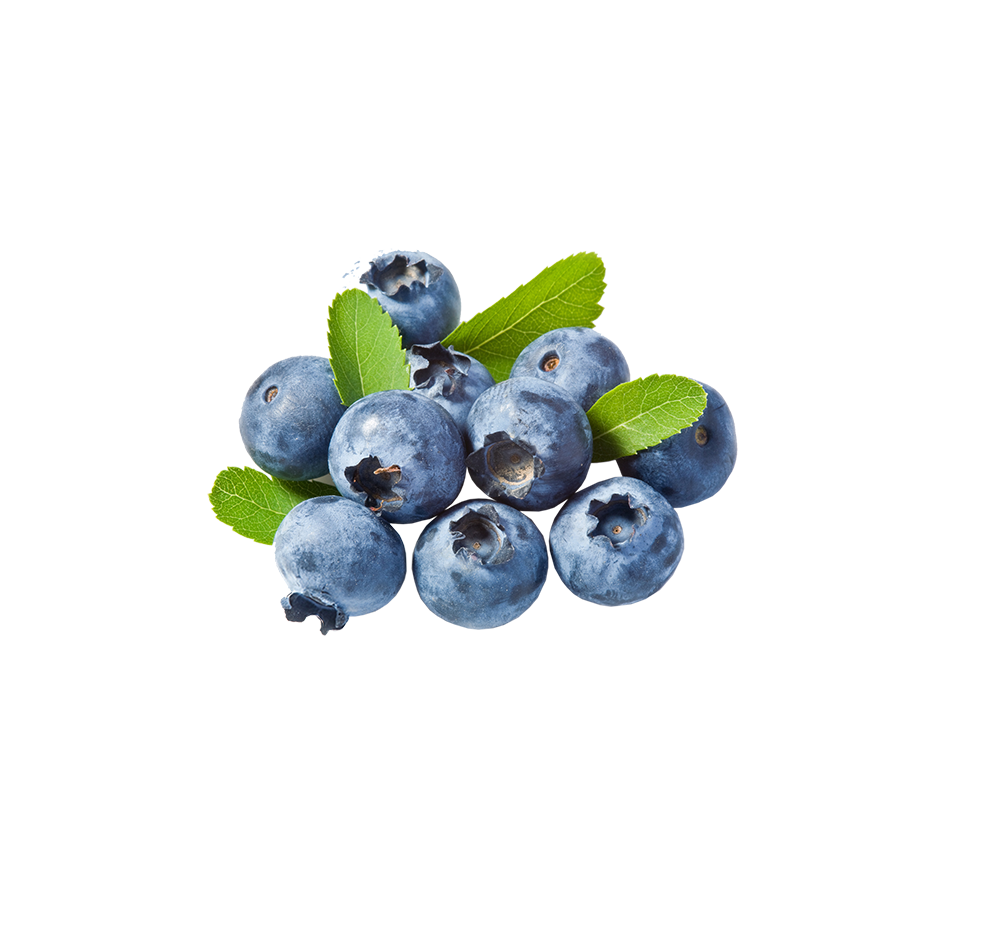 heidelbeeren heidelbeeren