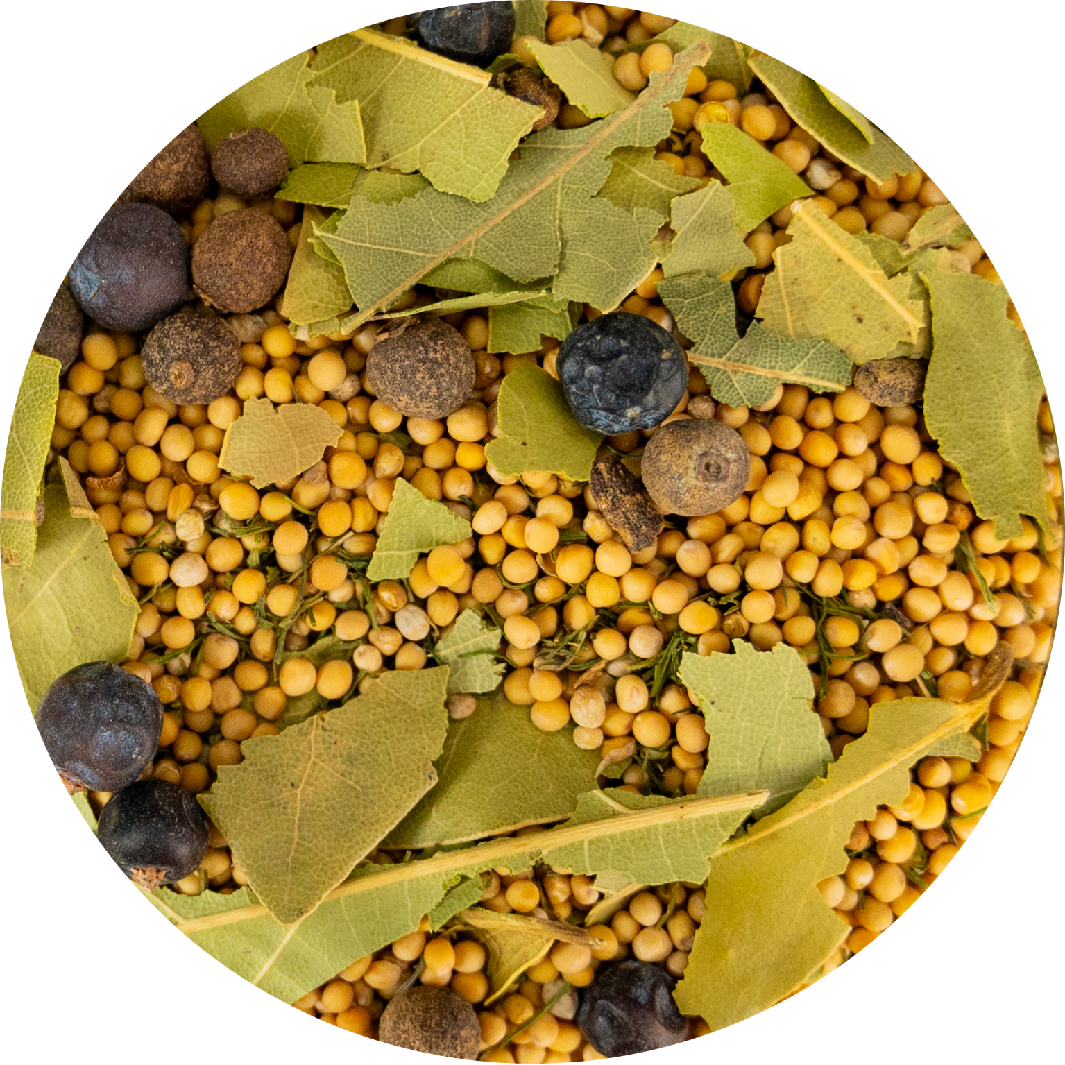 Einmachgewürz: Peffer, Dill, Piment, Senf, Lorbeer Einmachgewürz Senfkörner, Pfeffer, Piment, Dill, Lorbeer