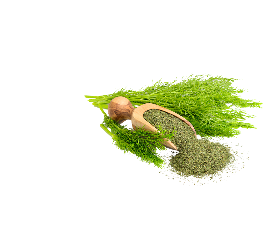 dill dill