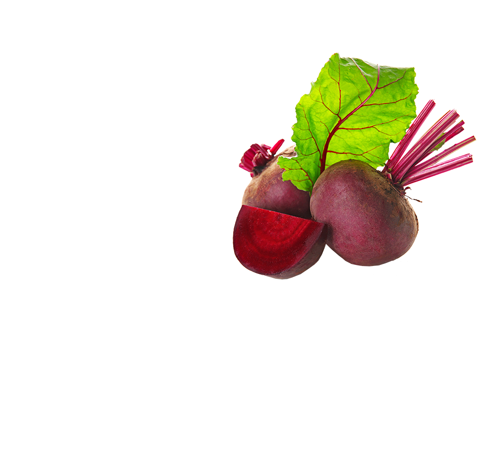 rote bete rote bete